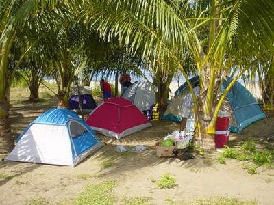 tipos de carpas